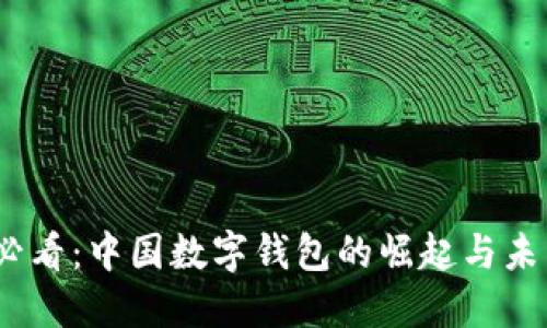2025必看:中国数字钱包的崛起与未来趋势