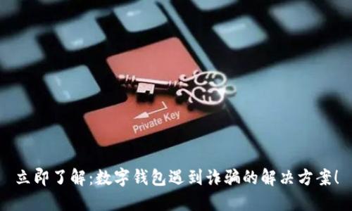 立即了解：数字钱包遇到诈骗的解决方案！