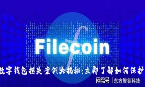 2023年数字钱包损失案例大揭秘：立即了解如何保护你的资产