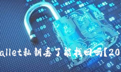 ### TPWallet私钥丢了能找回吗？2025必看解答