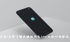 : 2025必看|立即了解区块链钱包SAC的核
