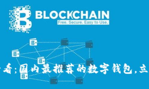2025必看：国内最推荐的数字钱包，立即了解！