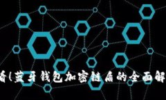 2025必看！蓝牙钱包加密链盾的全面解