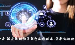 2025必看：深度解析徽信钱包加密技术