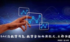 2025必看！BAC芯数字钱包：数字金融的