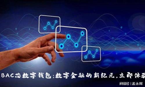 2025必看!BAC芯数字钱包:数字金融的新纪元,立即体验未来支付!
