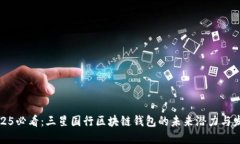 2025必看：三星国行区块链钱包的未来