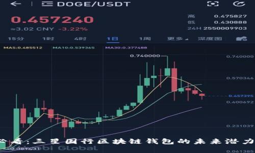2025必看:三星国行区块链钱包的未来潜力与发展