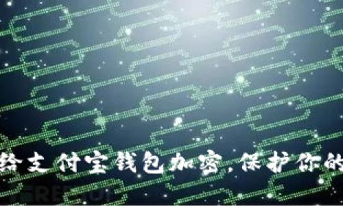 如何立即给支付宝钱包加密,保护你的财产安全