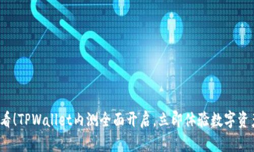 2025必看!TPWallet内测全面开启,立即体验数字资产的未来