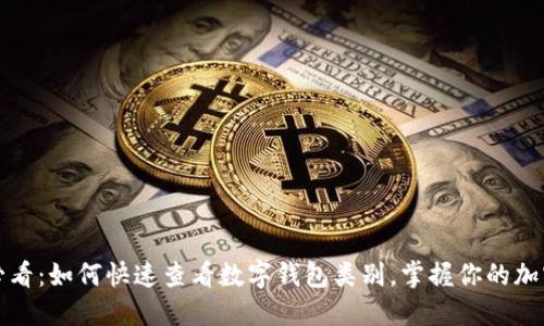 2025必看：如何快速查看数字钱包类别，掌握你的加密资产！