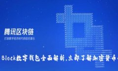 2025必看：S Block数字钱包全面解析，立