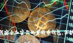 2025必看：如何安全加密你的莱特币钱