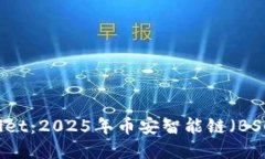 立即了解TPWallet：2025年币安智能链（