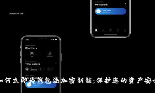 如何立即为钱包添加密钥锁：保护您的资产安全