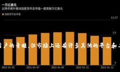 在加密货币迅速发展的今天，挖矿已经