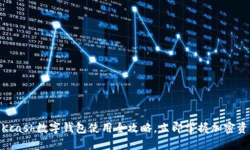 2025必看：Kcash数字钱包使用全攻略，立即掌握加密资产管理技巧