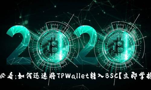 2025必看：如何迅速将TPWallet转入BSC？立即掌握技巧！