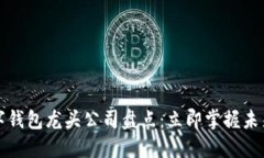 2023年数字钱包龙头公司盘点：立即掌