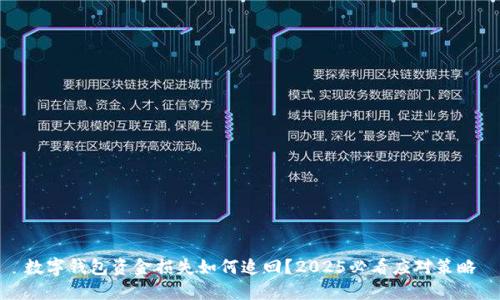 数字钱包资金损失如何追回？2025必看应对策略