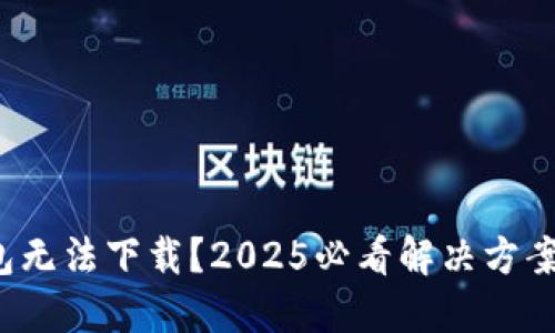 数字钱包无法下载？2025必看解决方案与技巧！