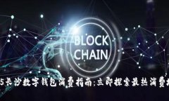 2025长沙数字钱包消费指南：立即探索