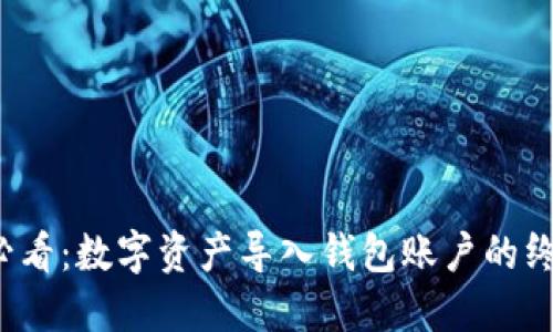 2025必看：数字资产导入钱包账户的终极指南