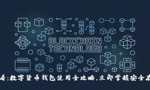 2025必看：数字货币钱包使用全攻略，立即掌握安全存储技术！