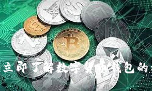 2025必看：立即了解数字货币钱包的种类与选择
