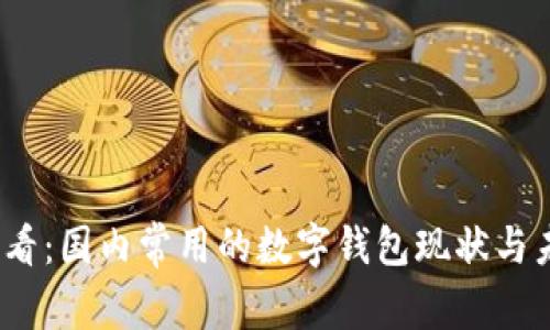 2025必看：国内常用的数字钱包现状与未来趋势