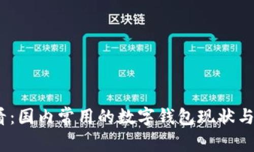 2025必看：国内常用的数字钱包现状与未来趋势