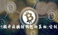 2025必看！揭开区块链钱包的真相：它