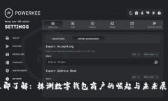 立即了解: 株洲数字钱包商户的崛起与