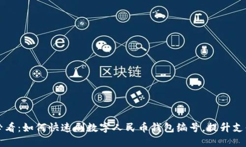 2025必看：如何快速刷数字人民币钱包编号，提升支付体验！