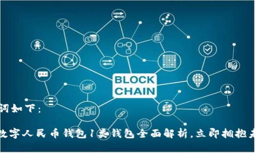 示范和关键词如下：

2025必看：数字人民币钱包1类钱包全面解析，立即拥抱未来支付方式