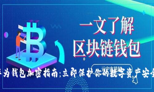 华为钱包加密指南：立即保护你的数字资产安全！