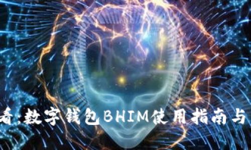 2025必看：数字钱包BHIM使用指南与未来展望