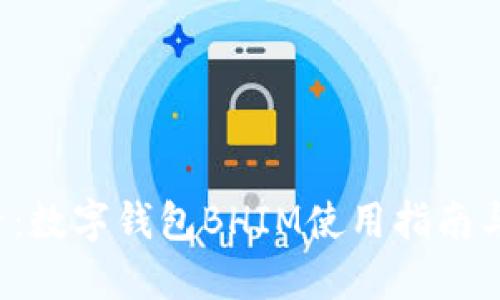 2025必看：数字钱包BHIM使用指南与未来展望