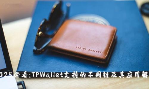 2025必看：TPWallet支持的不同链及其应用解析