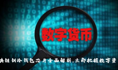 2025必看：区块链钥冷钱包芯片全面解析，立即把握数字资产安全新趋势！