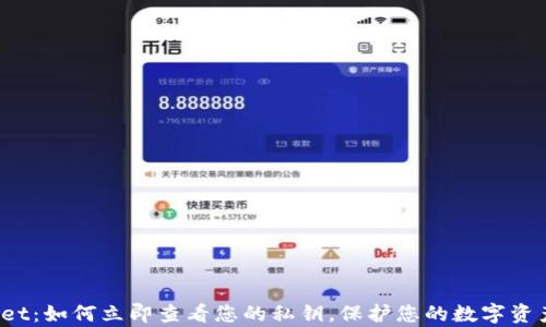 
tpwallet：如何立即查看您的私钥，保护您的数字资产安全！