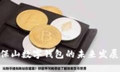 2025必看：保山数字钱包的未来发展趋