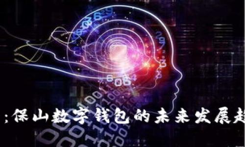 2025必看：保山数字钱包的未来发展趋势与影响
