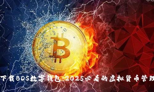 立即下载BDS数字钱包：2025必看的虚拟货币管理工具