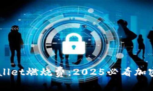 立即了解TPWallet燃烧费：2025必看加密货币交易指南